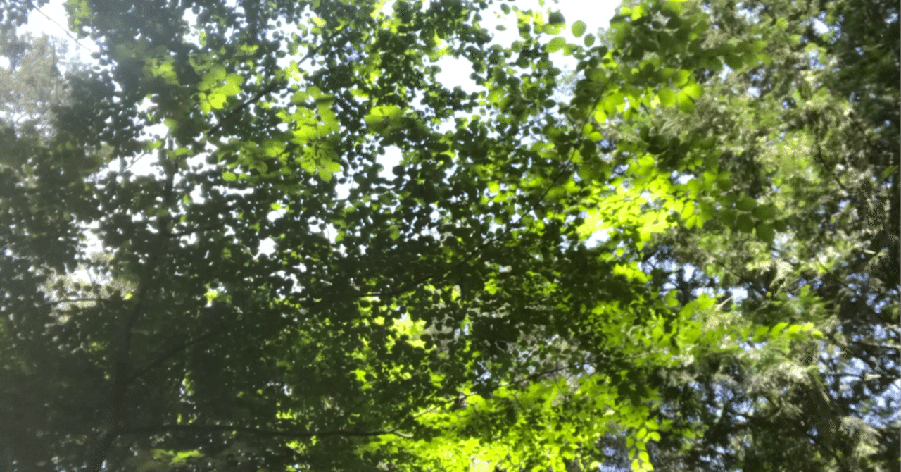Green Exercise グリーン エクササイズ 春日 聡 Note