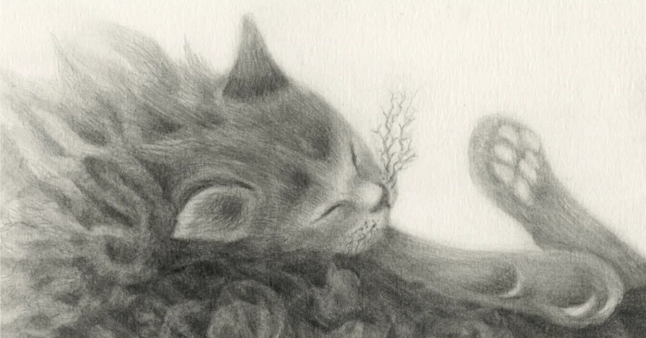 猫の鉛筆画｜古井フラ