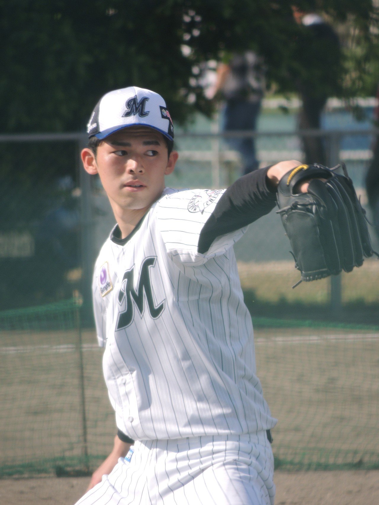 プロ野球第７世代｜アオジュン