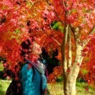 いまでもふと思い出す 帝人の企業説明会のこと Eisvogel Note