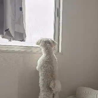 ヘィ