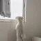 ヘィ