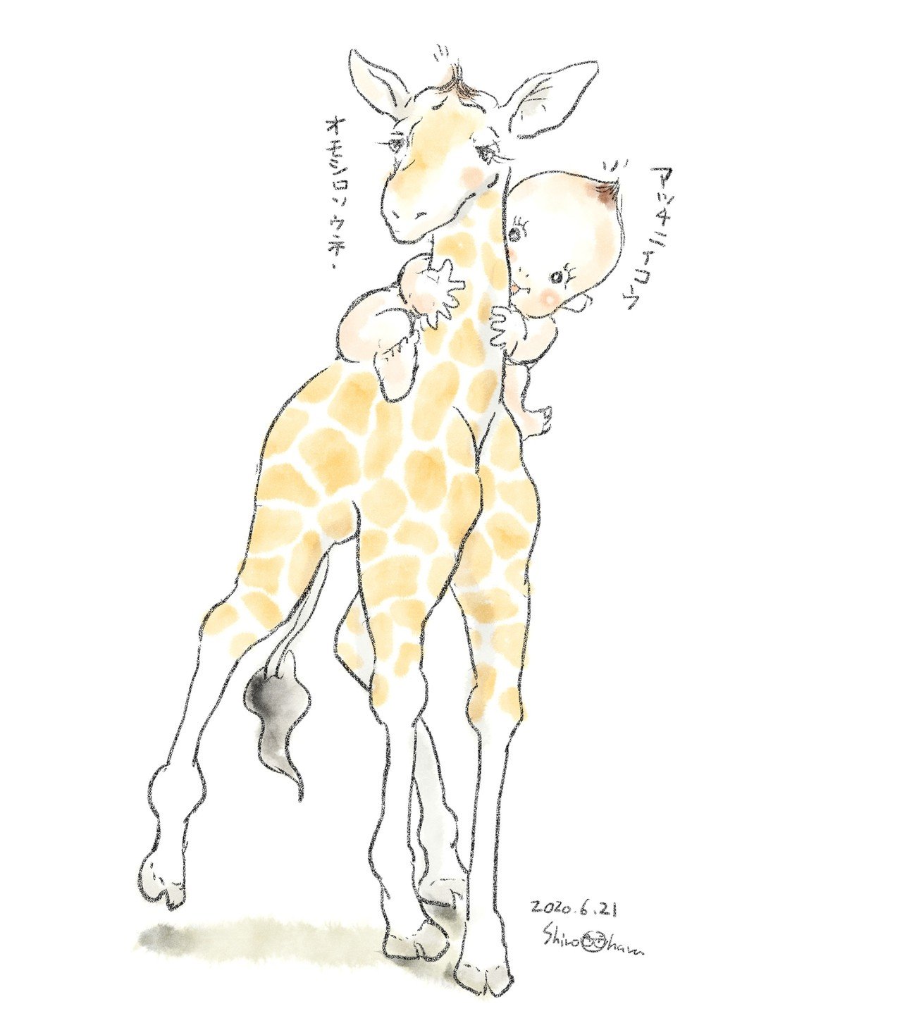 Animals 動物たちのイラスト 大原 司朗 Note