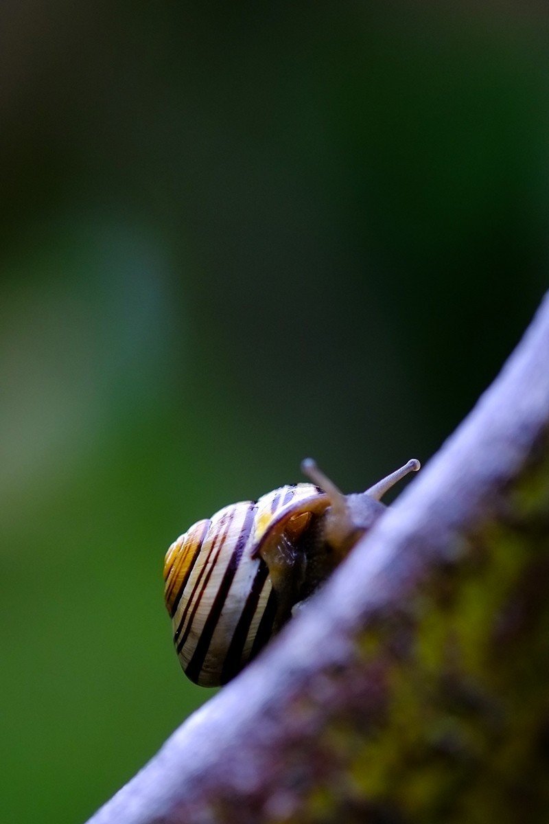 レタッチで雨降りの写真を作る Angie Bxl Note