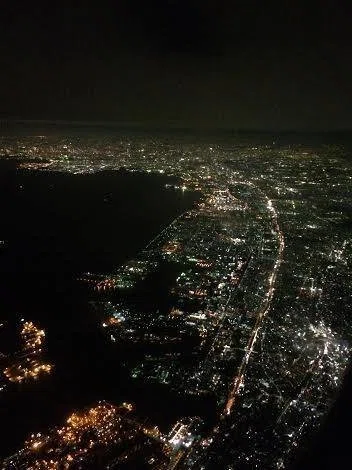 飛行機の中から見た東京の夜景｜樹木緑