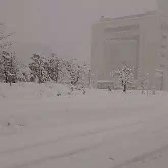 新潟データ