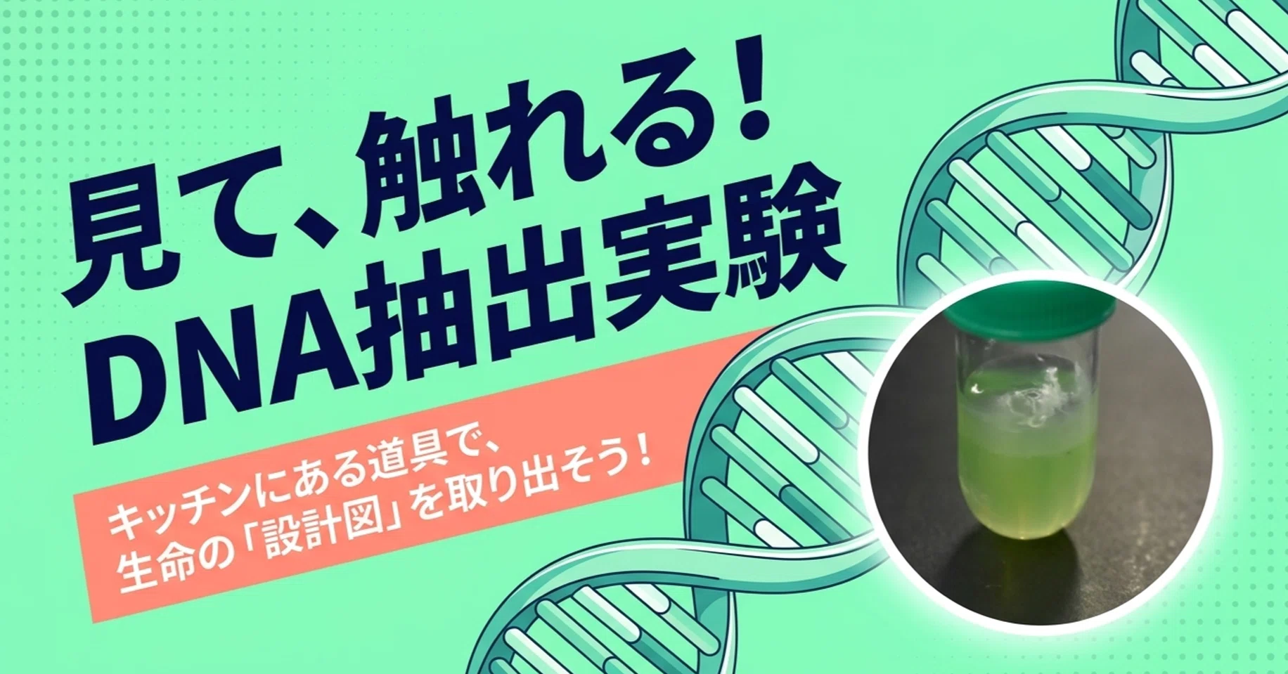 目に見える「生命の設計図」：身近な材料でできるDNA抽出実験ガイド