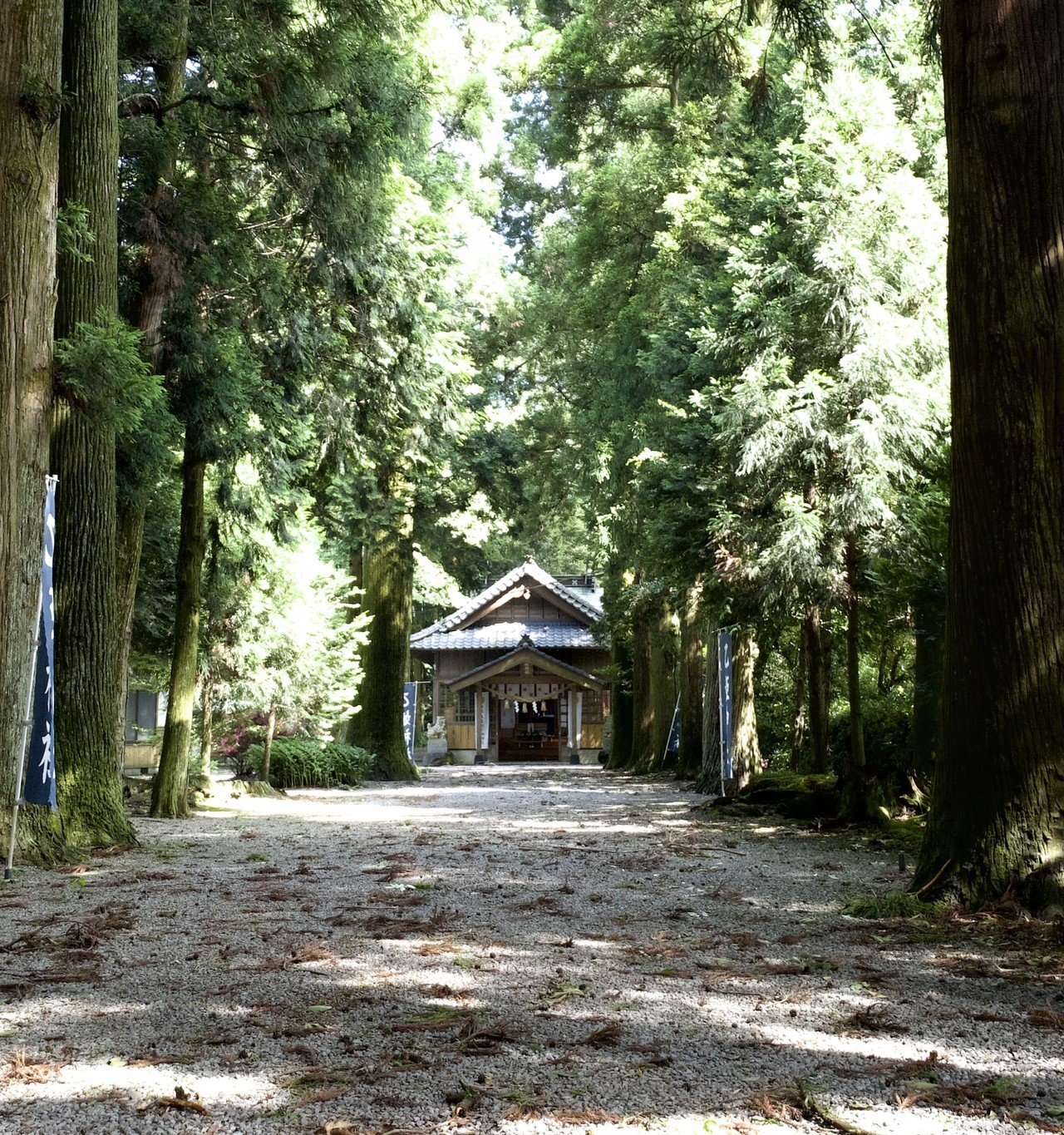 日夏耿之介全集』ほか幻想文学関係の古書を大量出張買取いたし