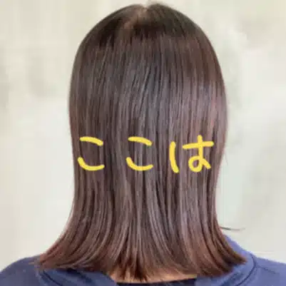 ここは