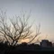 とある理系大学院生さん