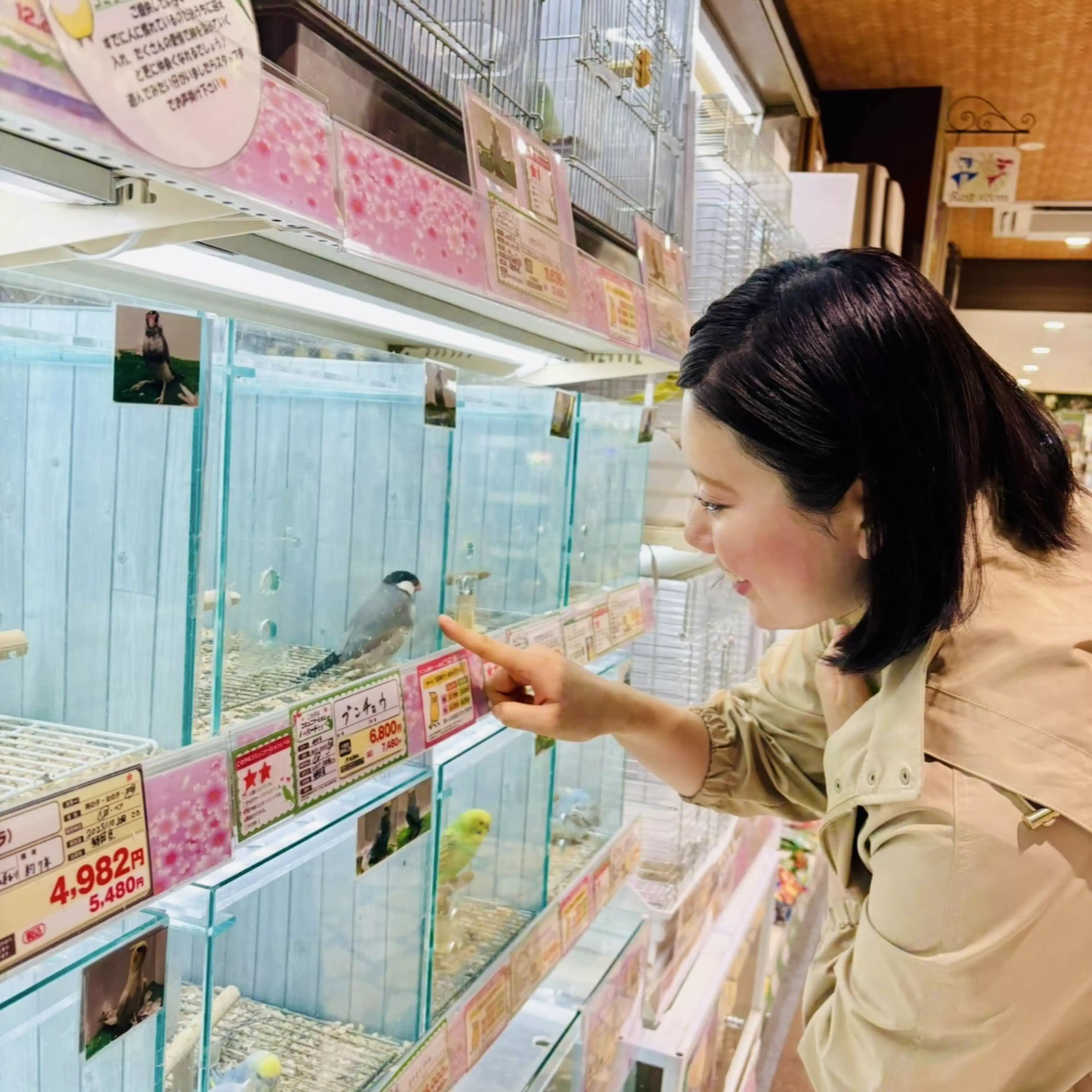 湯浅優