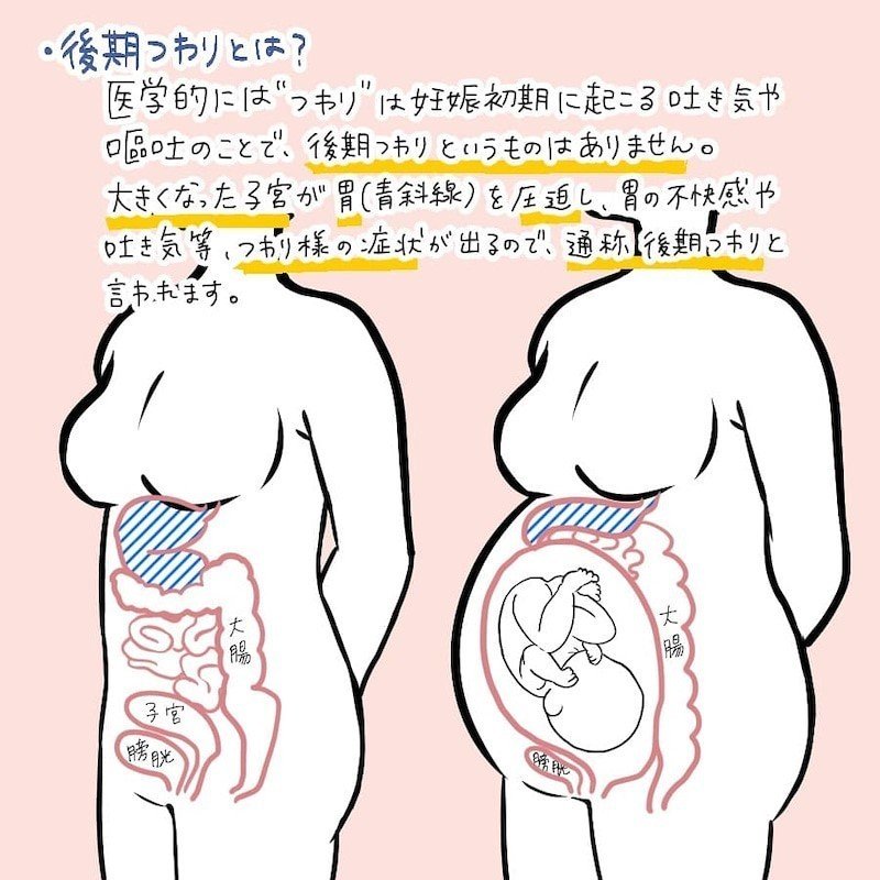 あなたは何問正解できる 妊活と不妊のウソホントクイズ りんぎょちゃん 10代から知ってほしい妊活と不妊のリアル Note あなたは何問正解できる 妊活と不妊のウソホントクイズ りんぎょちゃん 10代から知ってほしい妊活と不妊のリアル Note