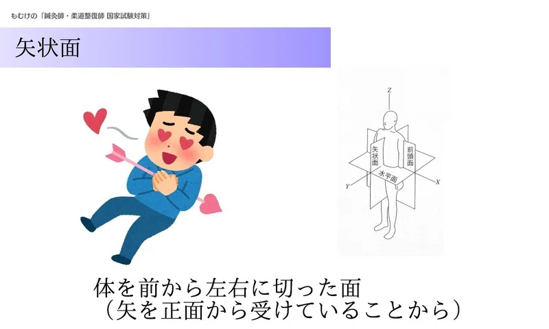 リハビリ 運動学 イラストで学ぶ前額面 水平面 矢状面とは 森元塾 国家試験対策 Note