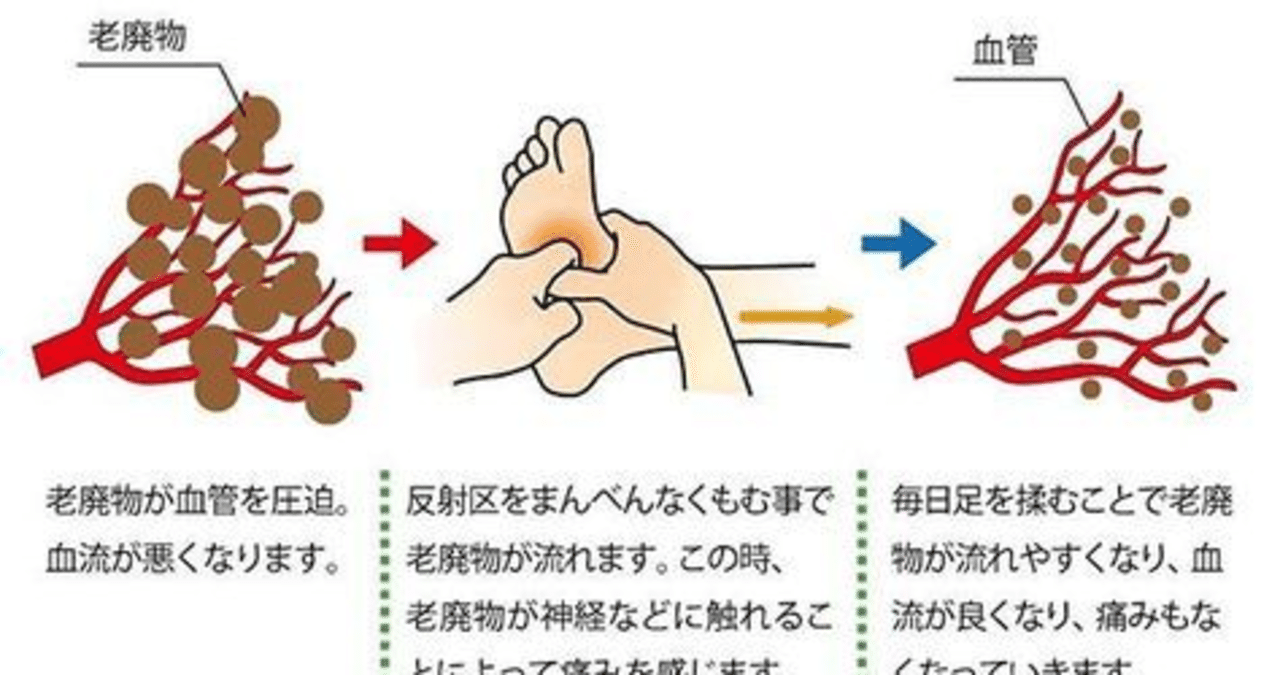 理由 痛い 足 つぼ