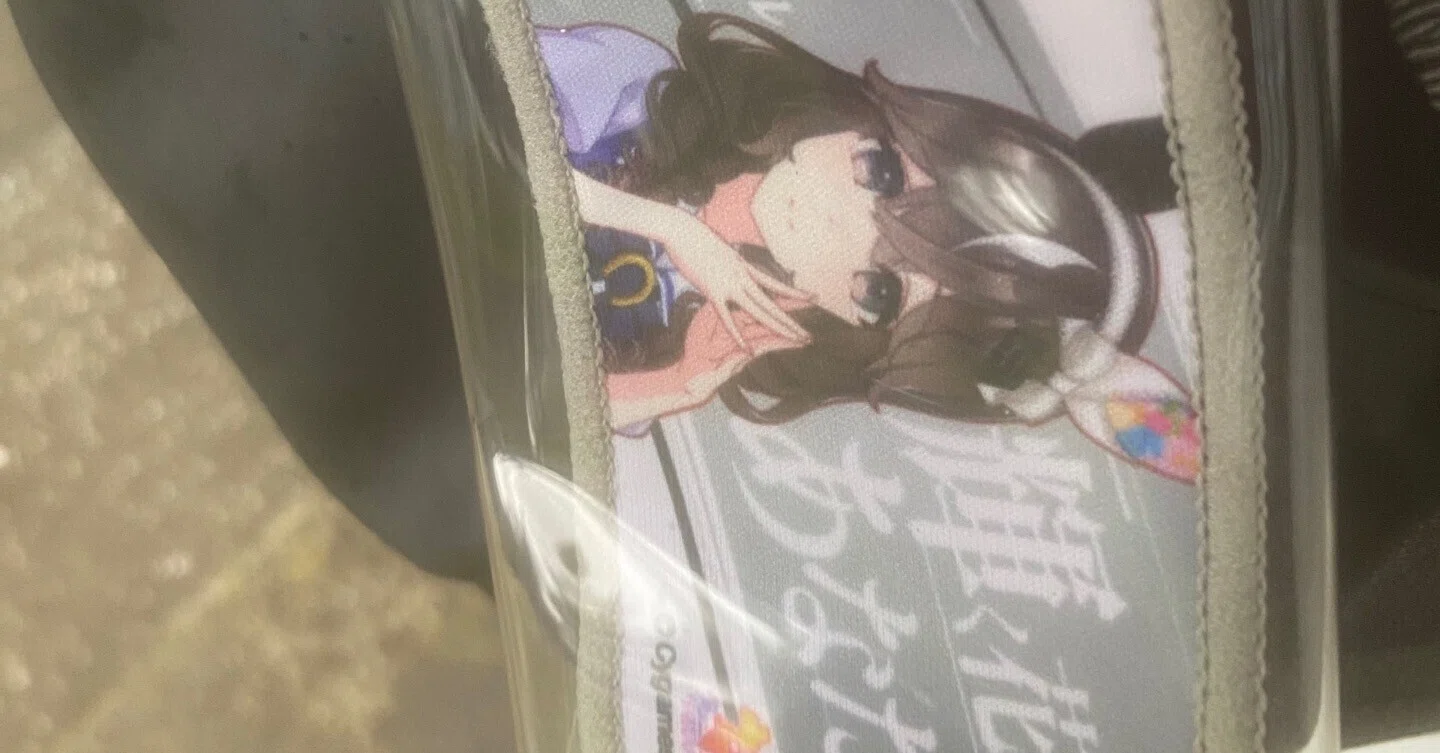 ウマ娘 7th EVENT WORLD TOUR 「THE STAGE」 in TOKYO』DAY1に参加した 