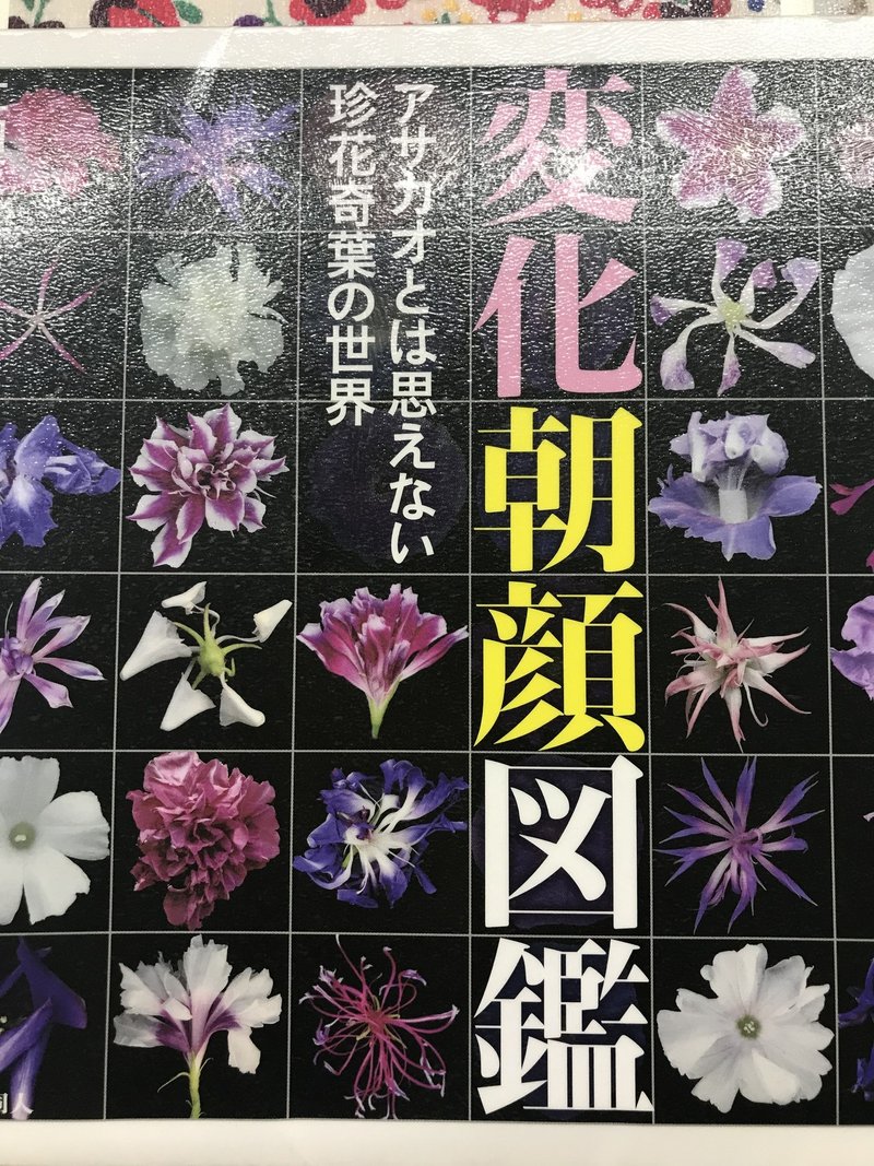 変化朝顔図鑑 ななしのはなこちゃん しばらく Note