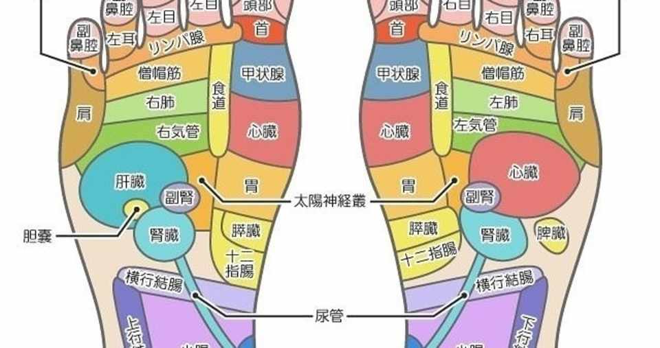 足つぼ反射区 足つぼマッサージ 足裏マッサージの 胃 のツボを徹底的に解説 は Note