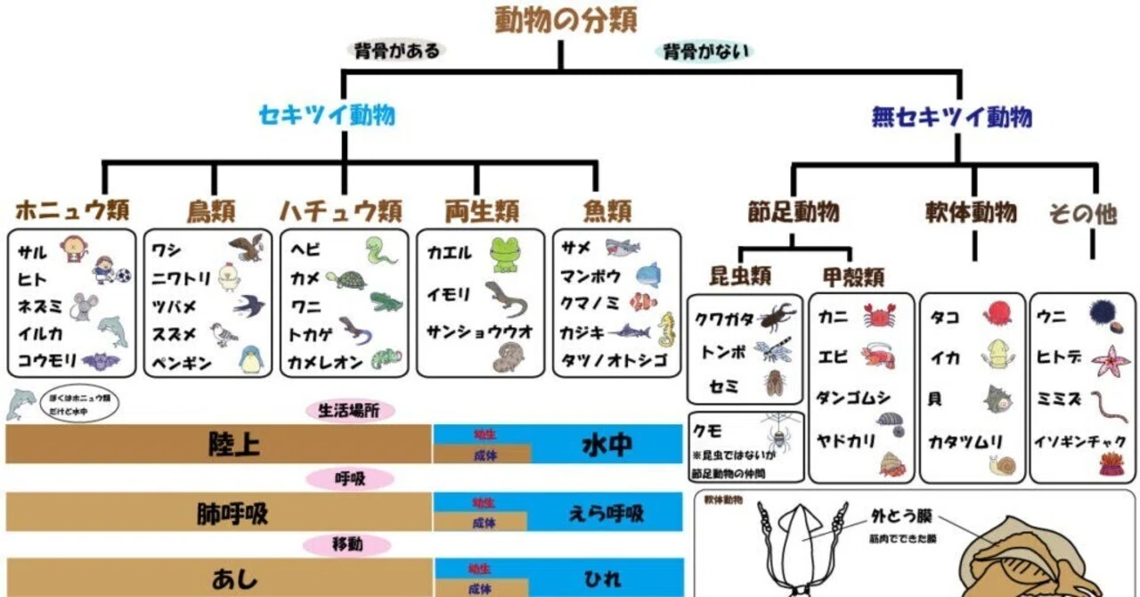 中1理科1学期のまとめプリントセット｜ブリッジぷりんと