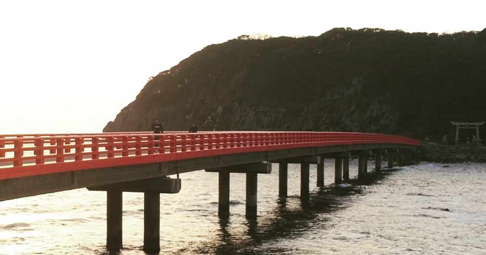 福井県、初夏の贈り物🎁