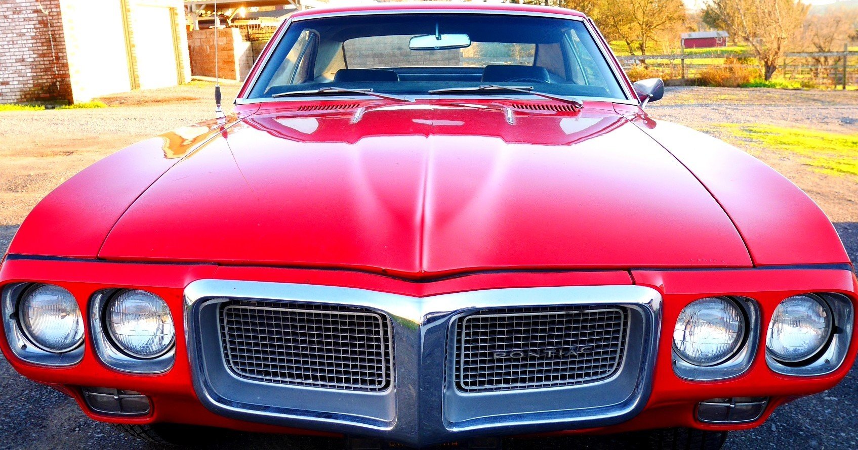 ポンコツ車を運転する新生児たち ハヤシヨーコ Note ポンコツ車を運転する新生児たち ハヤシヨーコ Note