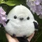 シマちゃん