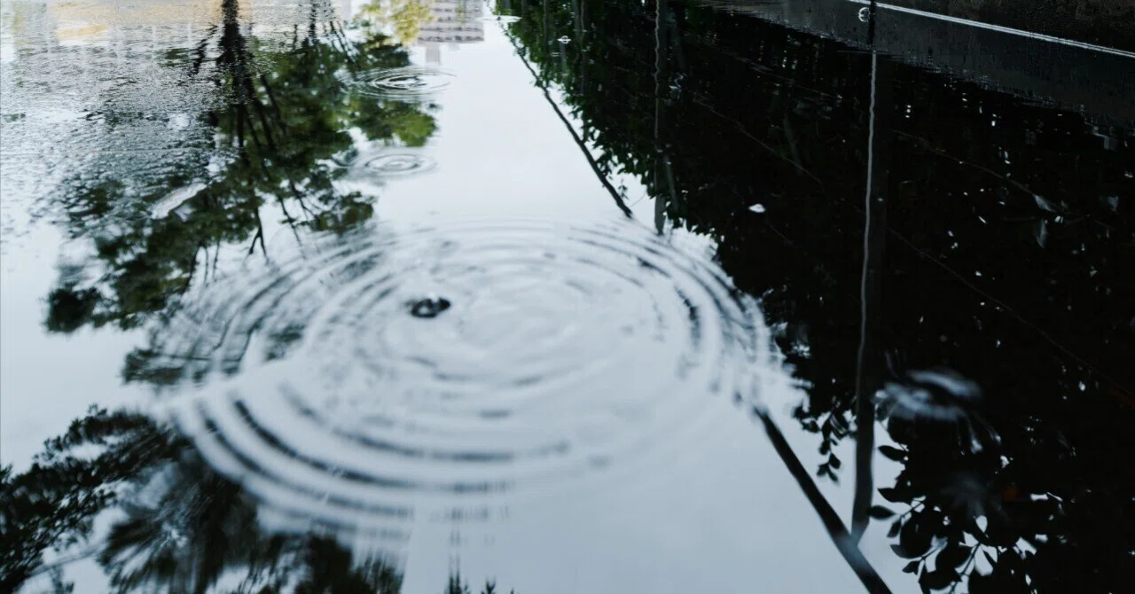 一滴の雨 たまには、雨もいい日。｜yuusky
