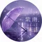 紫雨｜創作小説｜ことば採集