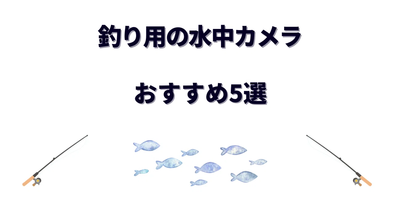 釣り用の水中カメラおすすめ5選！魚が丸見え！リアルタイム確認から 