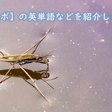 Part7 水蜘蛛 忍者の知恵 水を渡る道具作り きよし 忍者なデザイナー Shinobi Design Project Ceo Note Part7 水蜘蛛 忍者の知恵 水を渡る道具作り きよし 忍者なデザイナー Shinobi Design Project Ceo Note