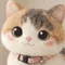 Tinyの引き寄せ実験室