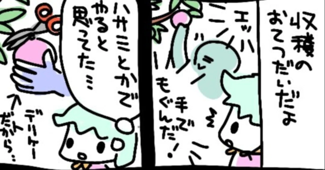 見出し画像