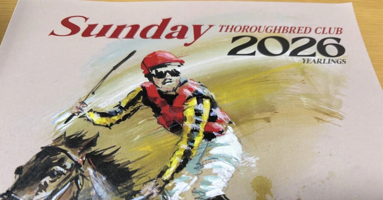 ㉖G1・社台・サンデー候補馬(4000万以下)｜zeruda‐