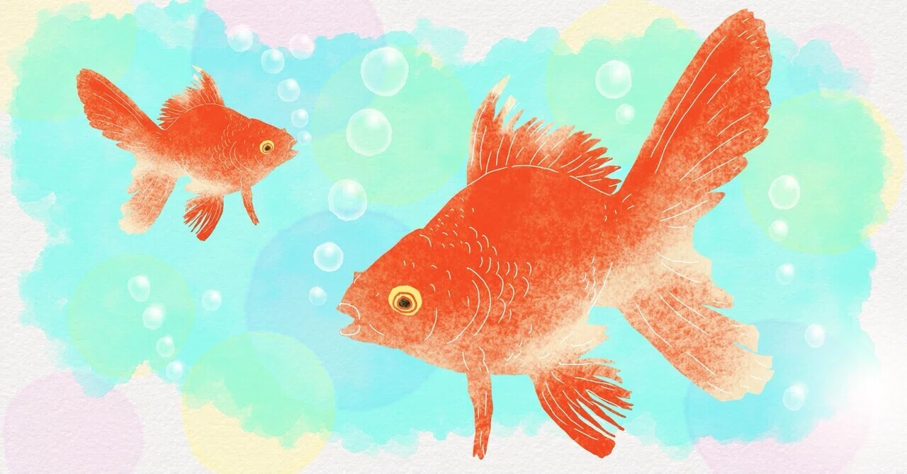 金魚…「イラストだけ」シリーズ｜ひとつ葉