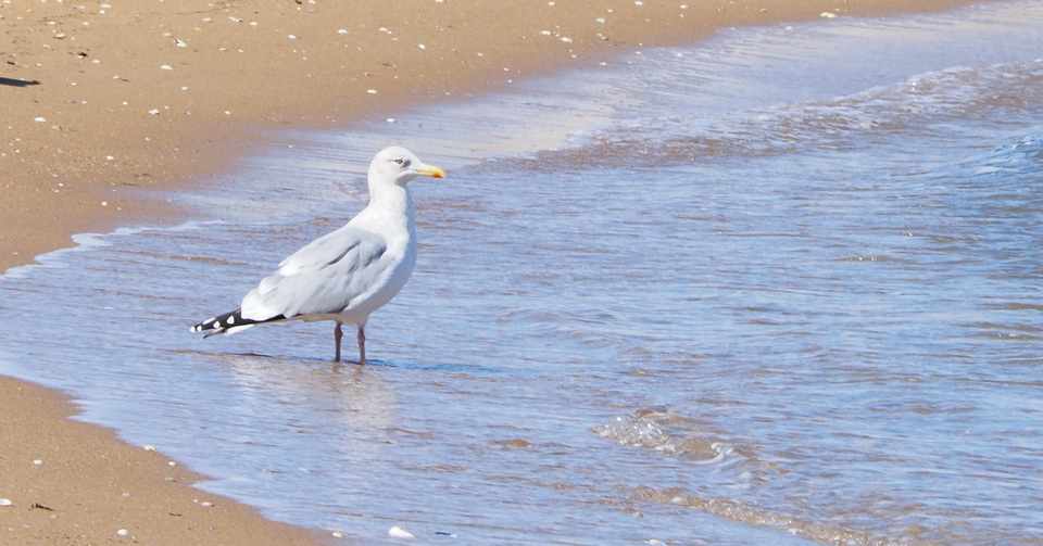 ウルトラマンz 第一話を観て Go Ahead 僕の描く夢 第319回 Yuu Note