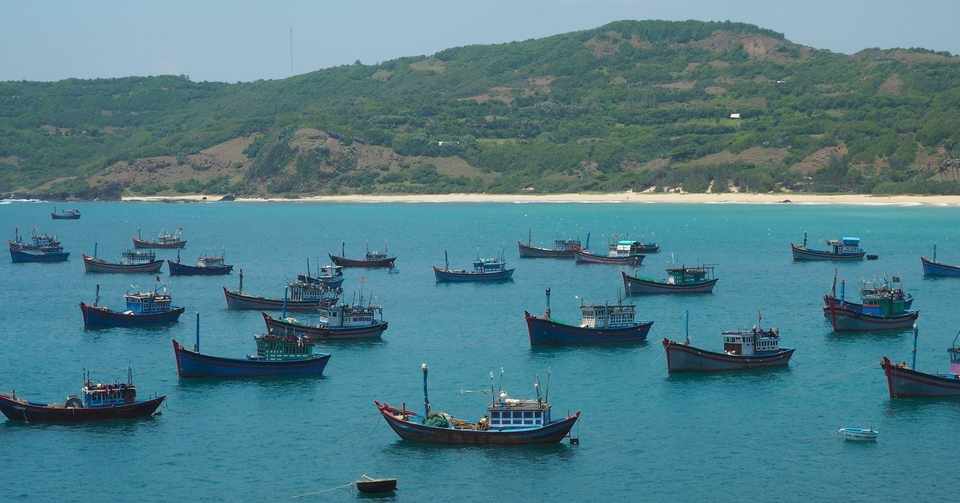 年度ウイン1次募集馬検討 3 例年より1か月遅れの募集日程発表 Link 一口馬主 地方馬主 共有 Note