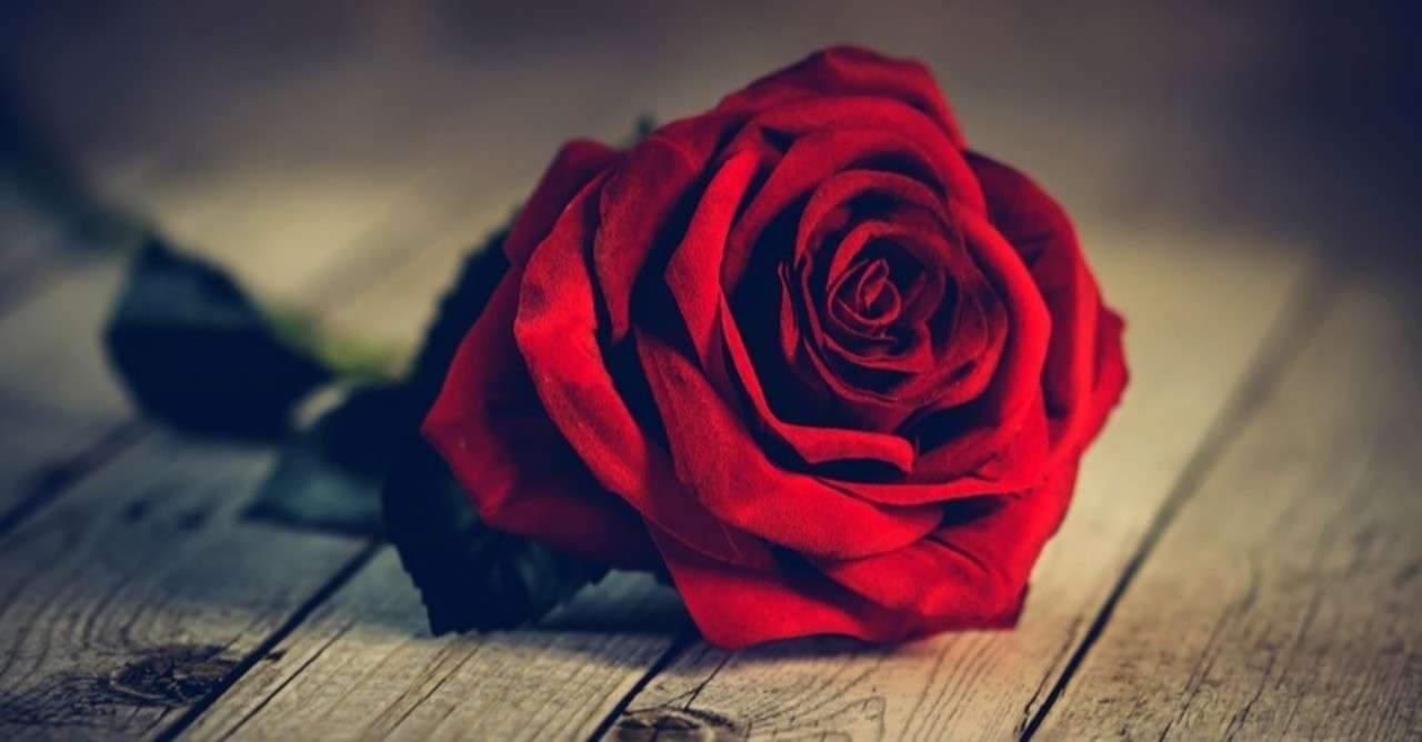 夜なのにサングラスをかける男 あいみ Note