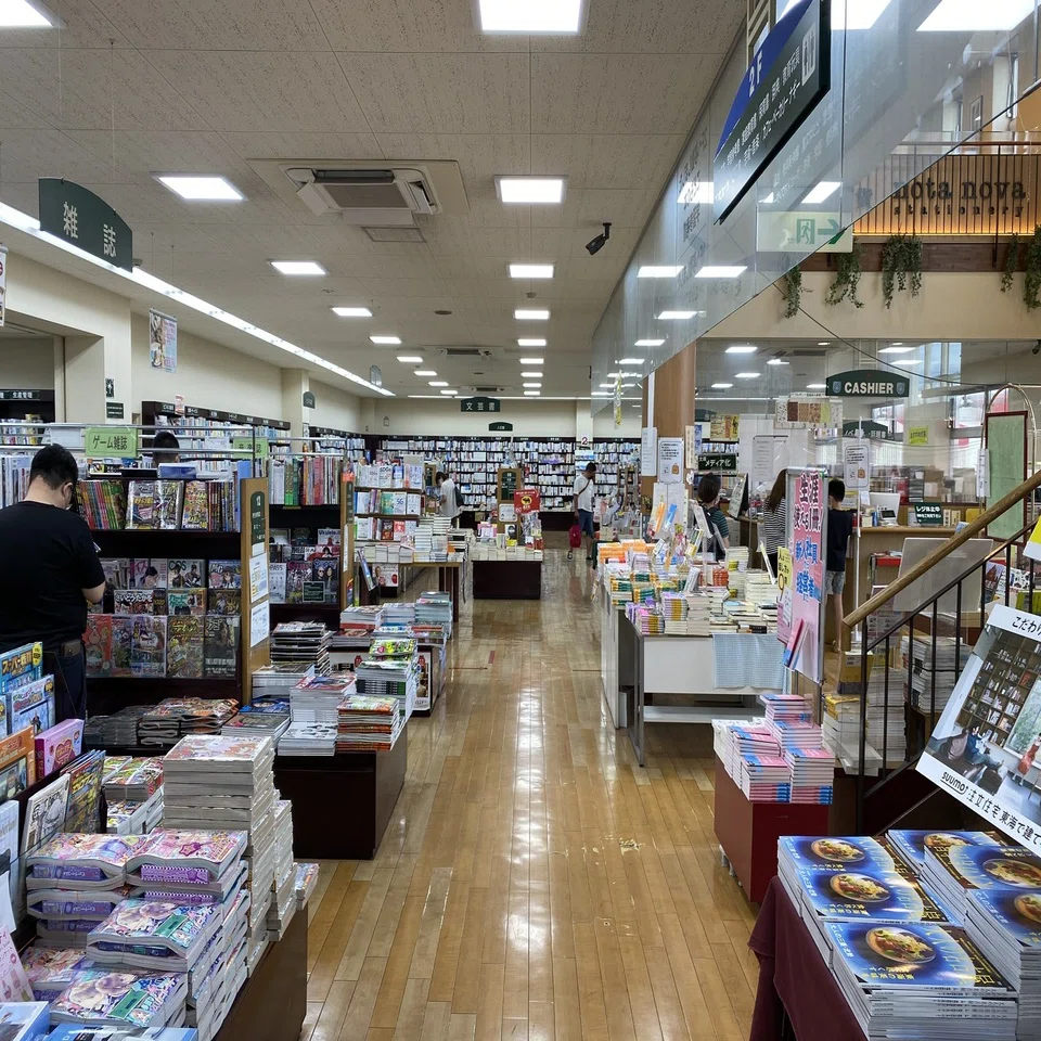 活動歴および当時の関連ビジュアル記録