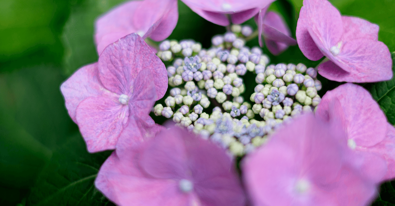 昨日 彼氏と別れたもんで ハッとしてへぇ Note