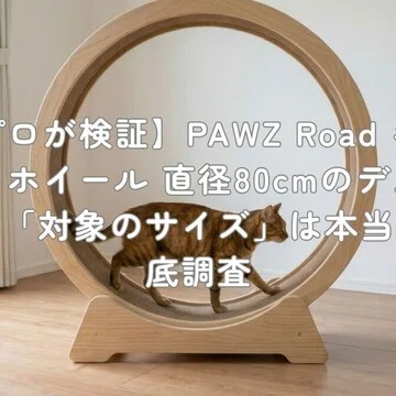 プロが検証】キャットホイールのデメリットを調査｜村上@家電