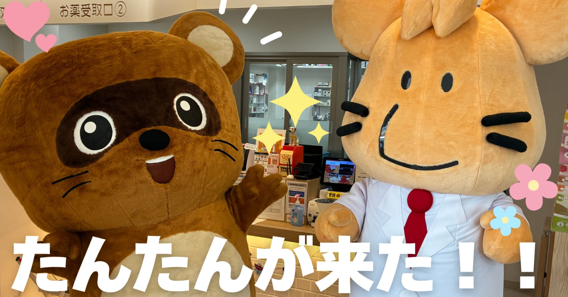 いっぷくゆる日記 番外編】?たんたんが会いに来てくれました 