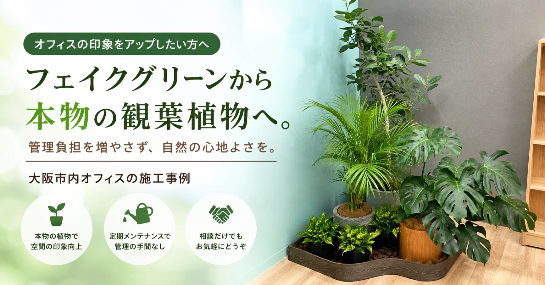 フェイクグリーンから本物の観葉植物へ。管理負担を増やさずオフィスの 