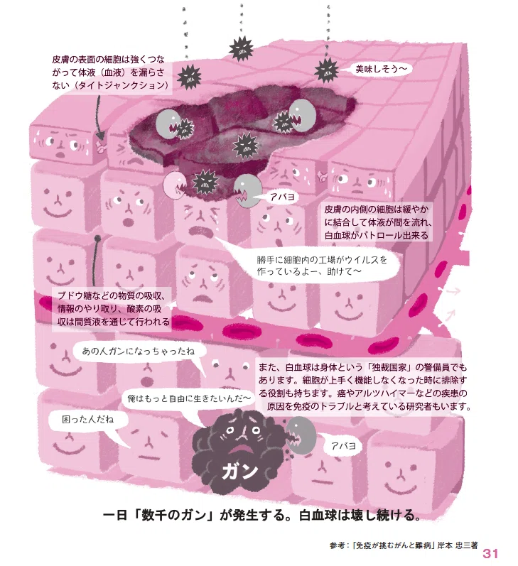 スクリーンショット 2020-06-23 5.00.14