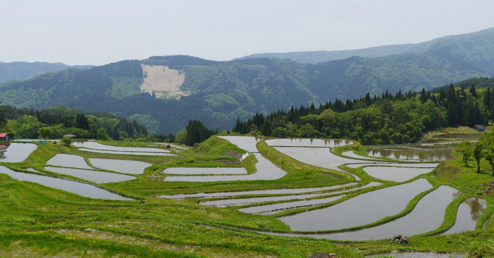 日本の原風景 ～ 棚田三選 ～｜hitoyasumi_hitoyasumi