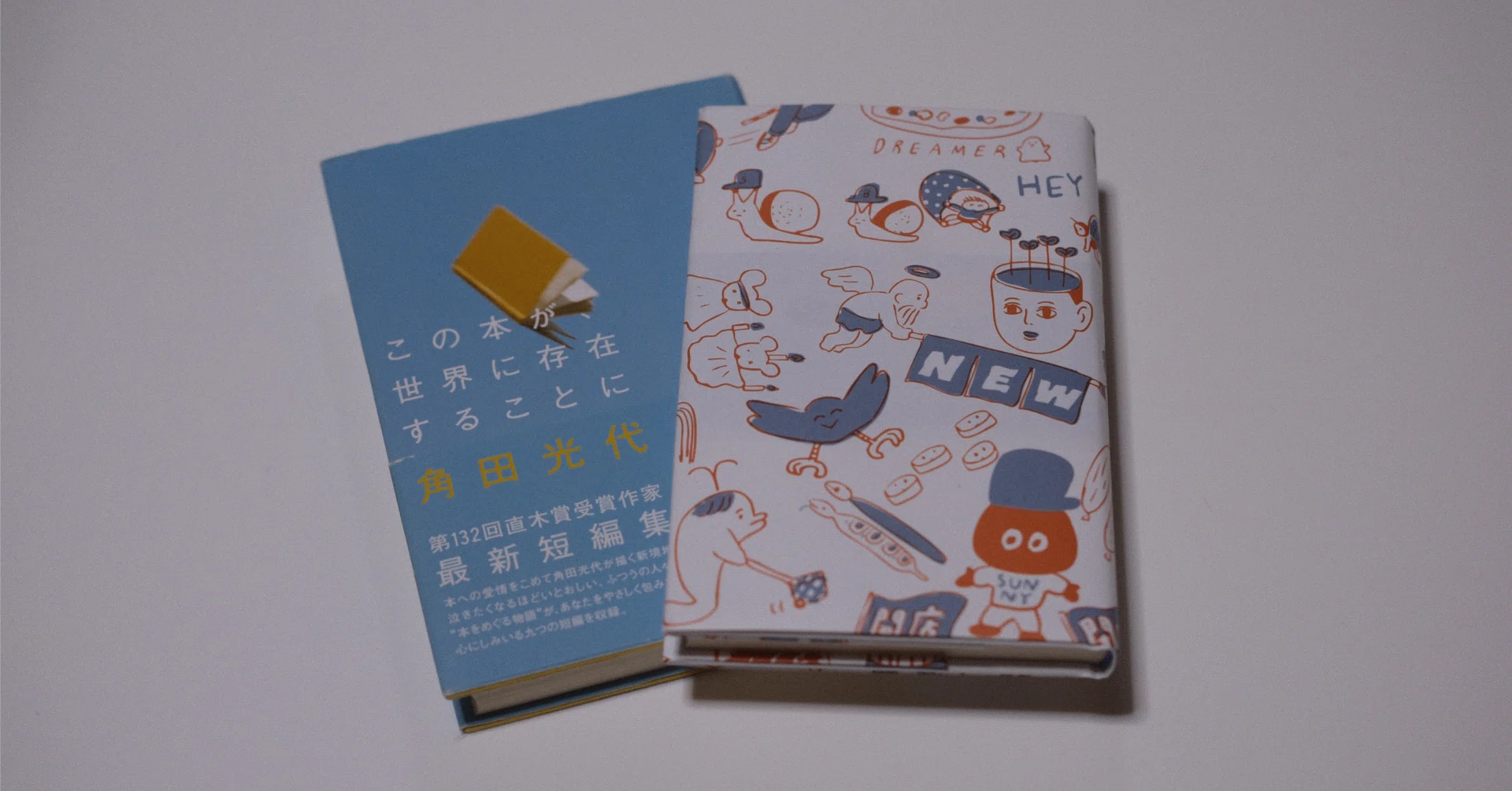 読書雑記 読書は、他の人と比較するものではないな｜ササオタツヤ