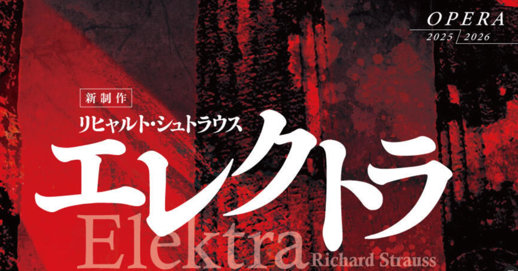 【中古DVD】『エレクトラ』全曲 クプファー演出、アバド&ウィーン国立歌劇場、マルトン、ファスベンダー、他(1989 ステレオ) ウィーン国立歌劇場 『エレクトラ』全曲 クプファー演出、アバド
