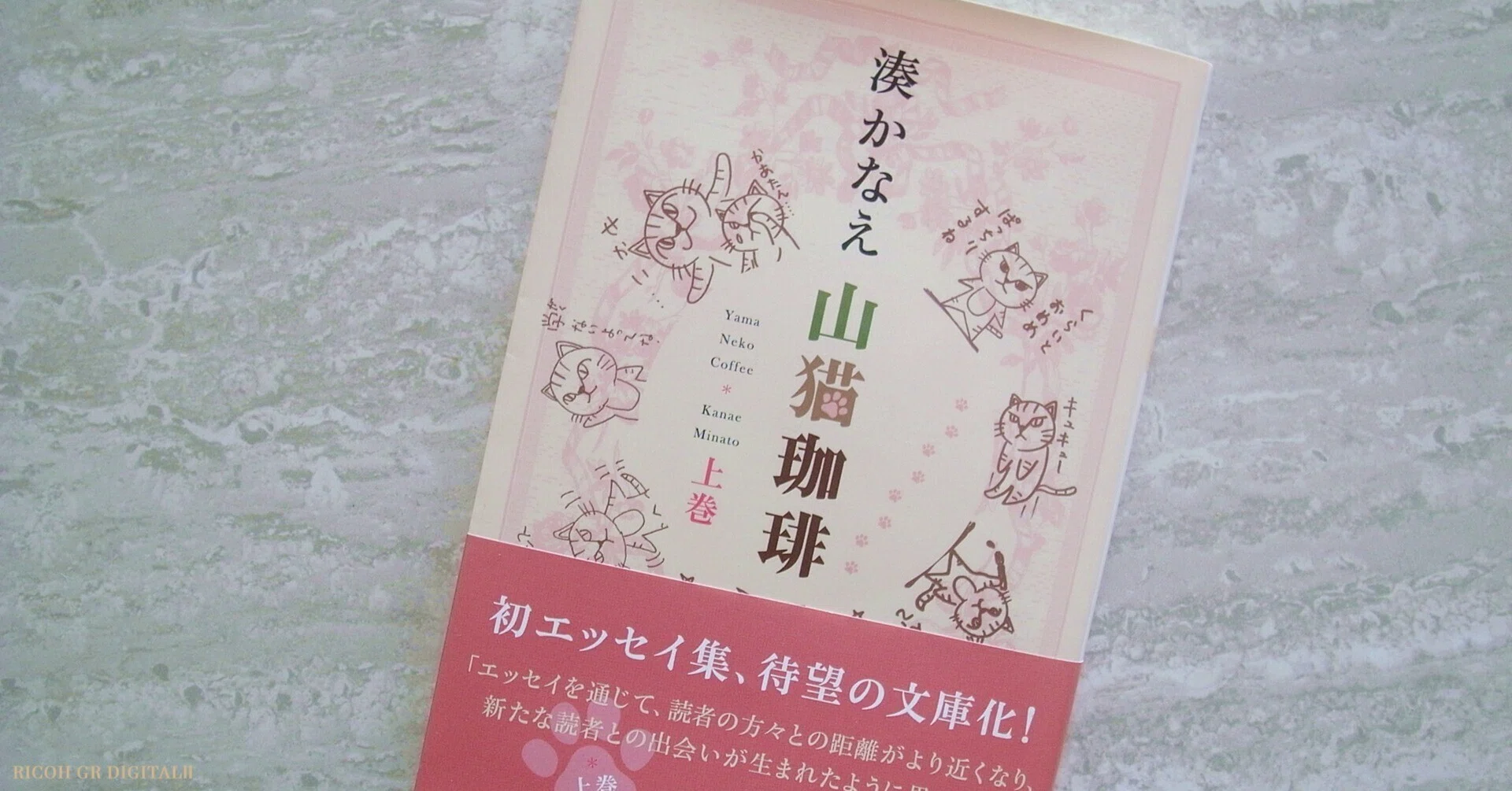 ねこ山 プロフ必読♡ 山猫珈琲 上巻 湊かなえ｜michi-to-sora 道と空