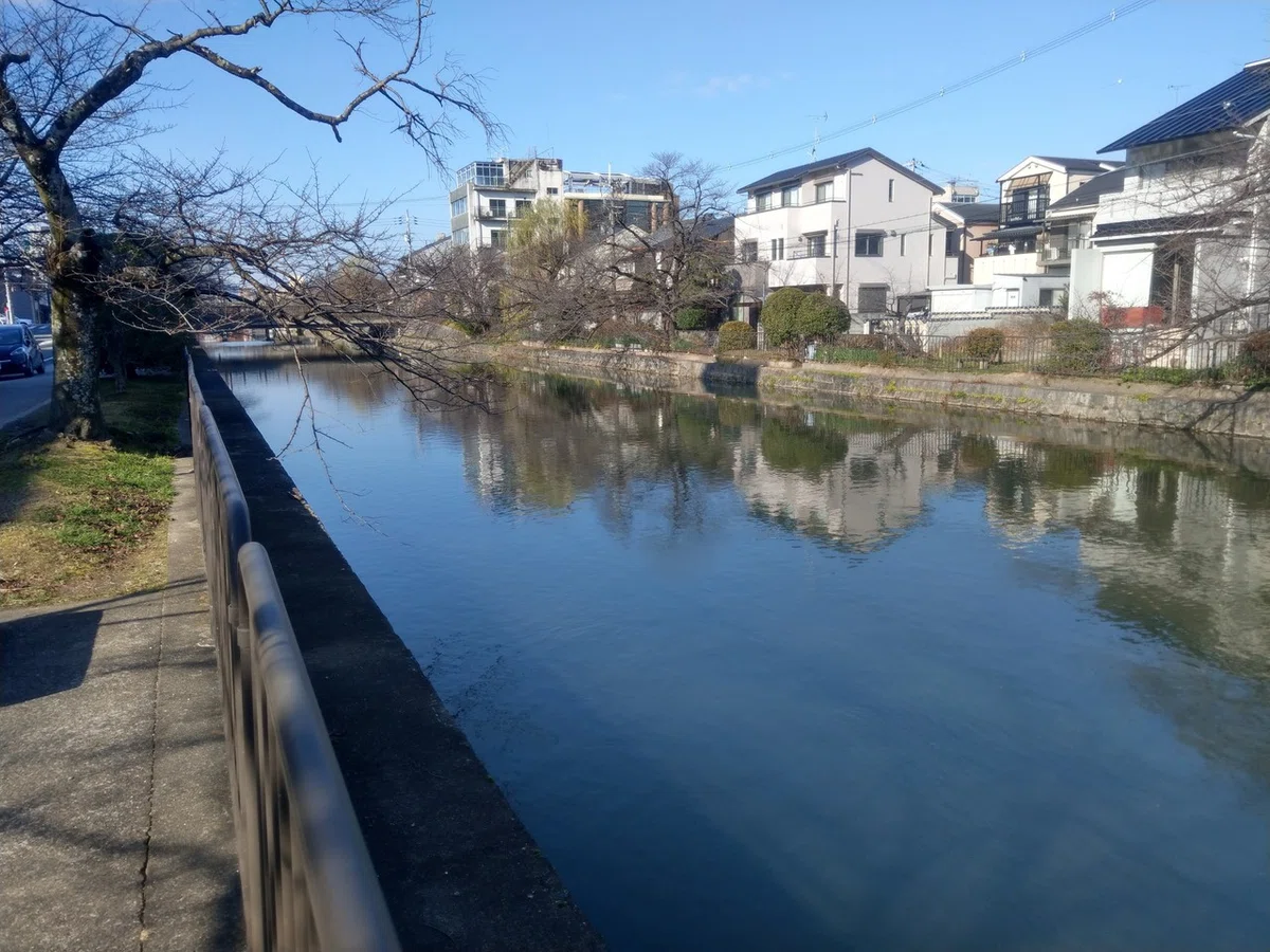 画像4