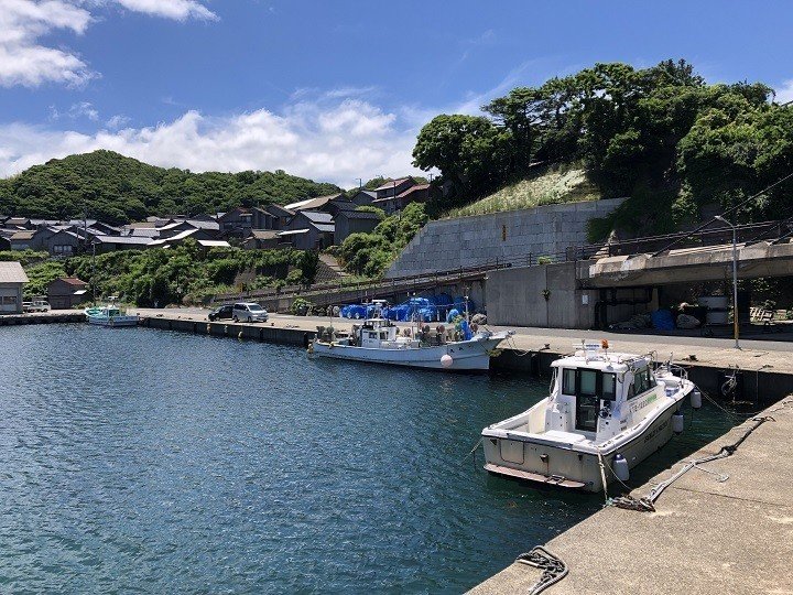 京都・京丹後市内の釣り場、間人漁港・橋の下エリアの釣り場情報1