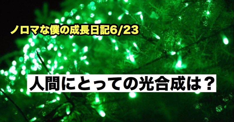 ノロマな僕の成長日記6/23