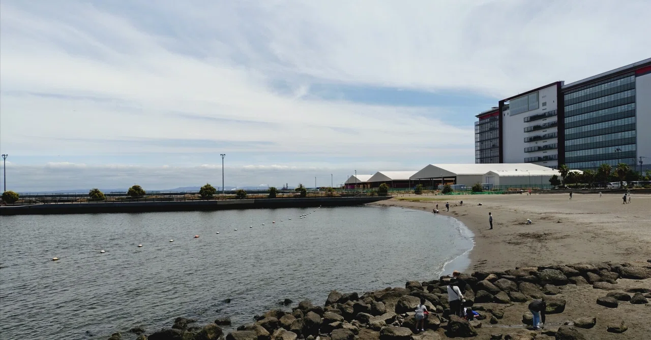 かわさき の 浜